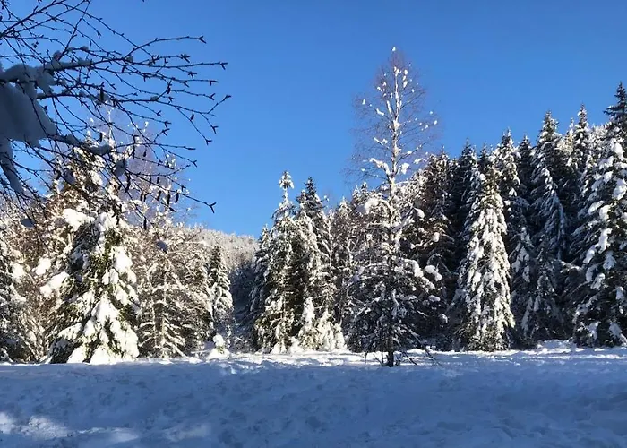 Ferienhaus Le Batelier Du